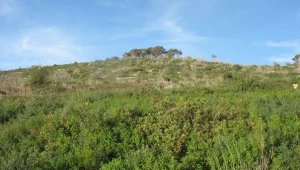 לאן נעלמים הפארקים?