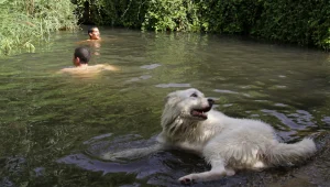 המלצה לטיול: בריכות מים ופיקניק בעין חשק