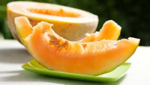 ביי פצעים וביי כרס: 10 דברים שחייבים לדעת על מלון