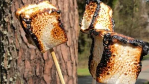 אתם תהיו בשוק: הנזקים המטורפים שמרשמלו עלול לגרום לגוף שלכם