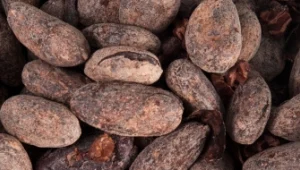 5 מאכלים לאיזון הורמונלי, שיפור הסקס ובטן שטוחה