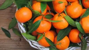 קלמנטינה: עשרה דברים שכדאי לדעת