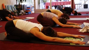 טרי ובריא: הכל על שיטת טרי יוגה