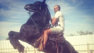 מה עשו אייל גולן ורוסלנה לסוסים?