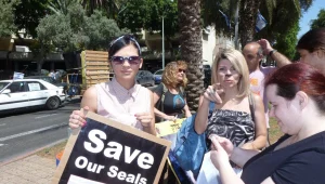 שרי שימחוב נאבקת למען כלבי ים בנמיביה