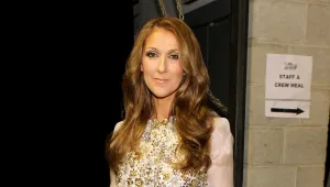 סליון דיון ילדה תאומים