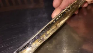 באמצע הלילה: מכשיר האייפון 6 פלוס התפוצץ  בחדר שינה של זוג