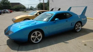 פלימות' שבה לחיים?