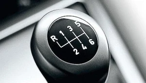 הגיע הזמן להציל את הידניות