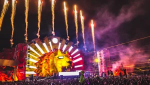 מסיבת הצבע הגדולה בעולם מגיעה לחיפה