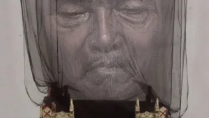 חובה לראות: האמן שעושה אמנות מדהימה מרשתות נגד יתושים