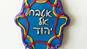 הצינור 06.11.15