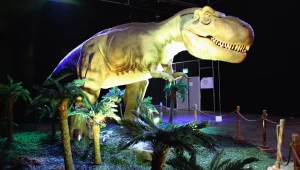 קיץ יקר עם הילדים - למה כניסה לתערוכה עולה בישראל פי 2 מבחו"ל?