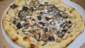 חגיגית אוכל בשרון: פסטיבל פודיס במתחם שרונים מתחיל היום