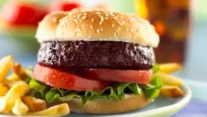 למה נאסר על מסעדה למכור צ'יפס והמבורגר?