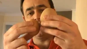 צפו: מה מסתתר בתוך הביצה הגדולה ביותר בעולם?