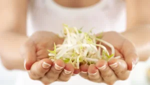 נא לאכול עם הידיים