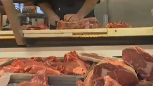 סיפור עם בשר