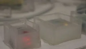 צפו: קוביות קרח שיסמנו מתי שתיתם יותר מדי אלכוהול