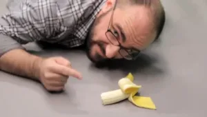 חוק 5 השניות: האם אפשר לאכול מזון שנפל לרצפה?