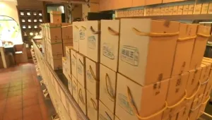 פשוט מדהים: מסעדה שעשויה כולה מקרטון