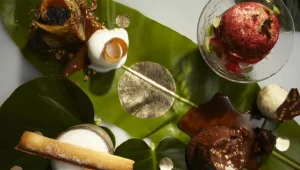 צפו: סרטון שמפגיש בין אמנות לאוכל