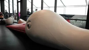 הבר הפך לציפור והכסאות לביצים. צפו בעיצוב המיוחד