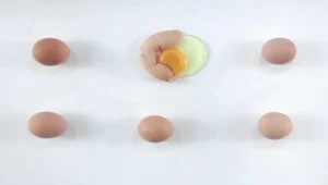 צפו: סרטון אוכל יפהפה ולא שגרתי