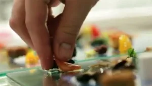 לא להאמין: מנה עיקרית מ-86 מרכיבים