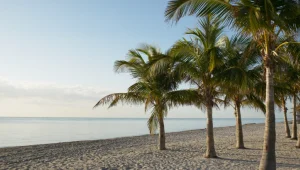 רפובליקת בננות: מה מביא ישראלים להונדורס?