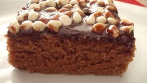 מתכון לעוגת שוקולד-קוקוס-תפוזים הכי קלה בעולם