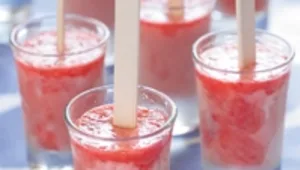 מכינים בבית - ארטיקים לקיץ