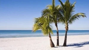 אם אין דירה קנו אי