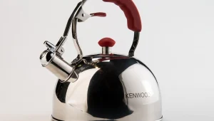 פיתוח חדש: הפעלת מכשיר באמצעות הצבעה