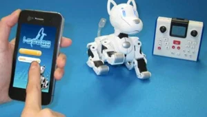 אורלי וגיא: הגאדג'טים המגניבים של השנה החדשה