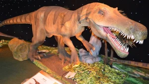 לפני שהחופש נגמר: ארועים לילדים