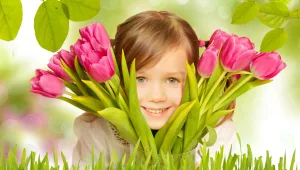 עד 120: בובת בראץ ב-40 שקלים