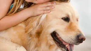 איך מתמודדים עם מוות של בעל חיים