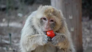 ילדיל: 5 דילים לבילוי עם הילדים
