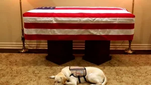 הצינור: 03.12.18: בוש האב מובא לקבורה