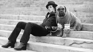 הצינור 02.12.18: סטאלון הורג את רוקי