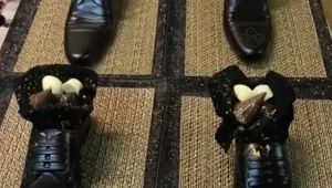 הצינור 07.05.18: הנעל והמבוכה