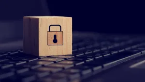 הצינור 05.02.18: סקס, חוקרים ווידאוטייפ