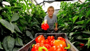 לילה כלכלי 23.06.15