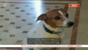 הצינור 11.04.16