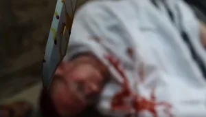 הצינור 17.11.15