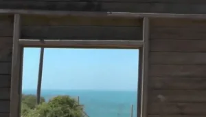 הצינור 28.04.15