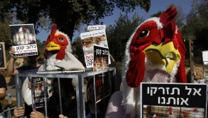 ההפגנה למען בעלי חיים שסחפה את העולם