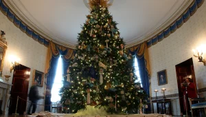 אורלי וגיא: האם צריך להציב גם עץ חג מולד בכנסת?