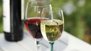 אורלי וגיא חוגגים את הבוז'ולה